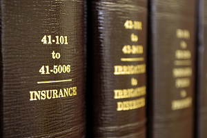 issues in insurance law