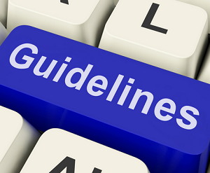 litigation guidelines