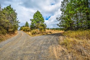 A fork in the road